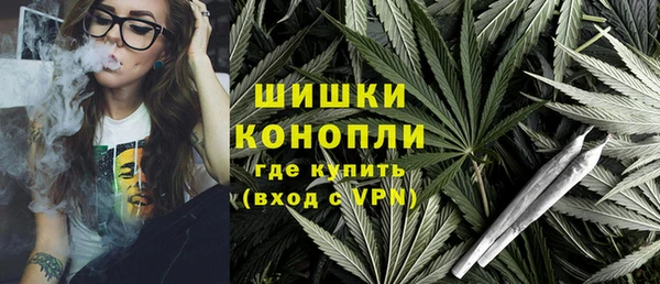 MESCALINE Аркадак