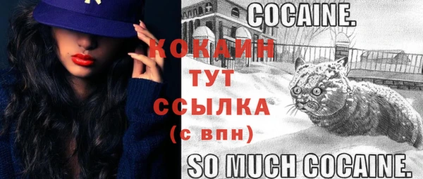 mdpv Арсеньев
