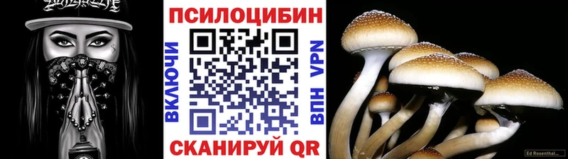 Галлюциногенные грибы Psilocybe Среднеколымск